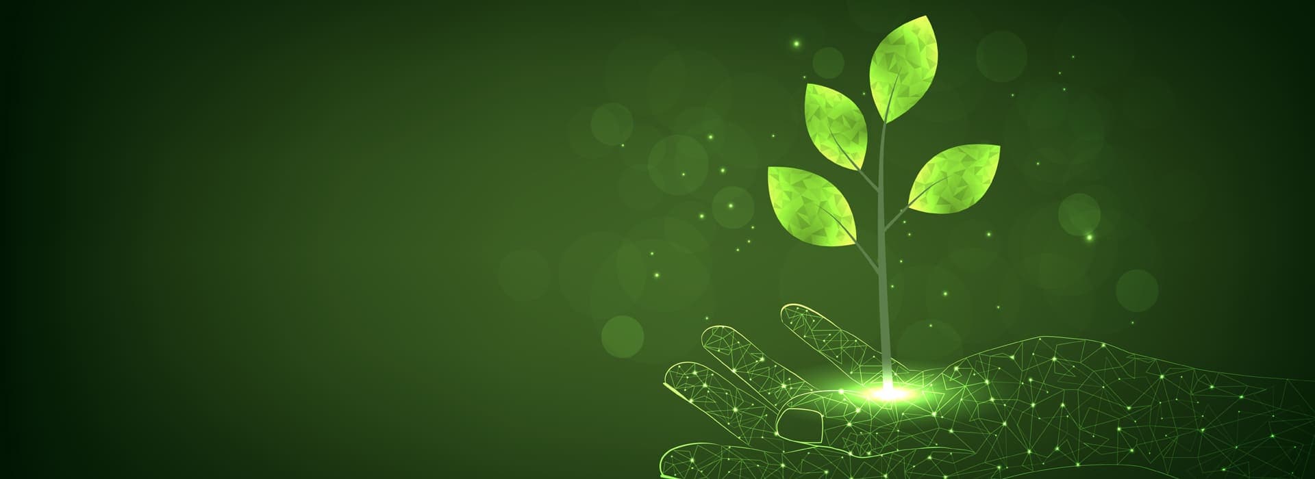 School of Agricultural Sciences