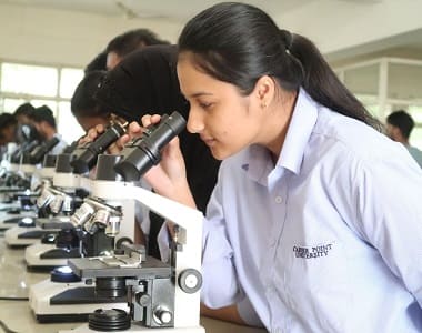 Plant Disease Detection Practical