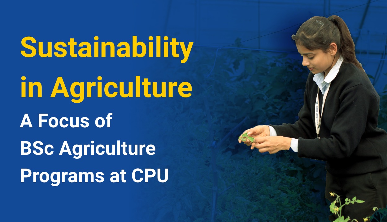 Sustainability in Agriculture