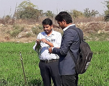 Agricultural Students during Crop Physiological Measurement new