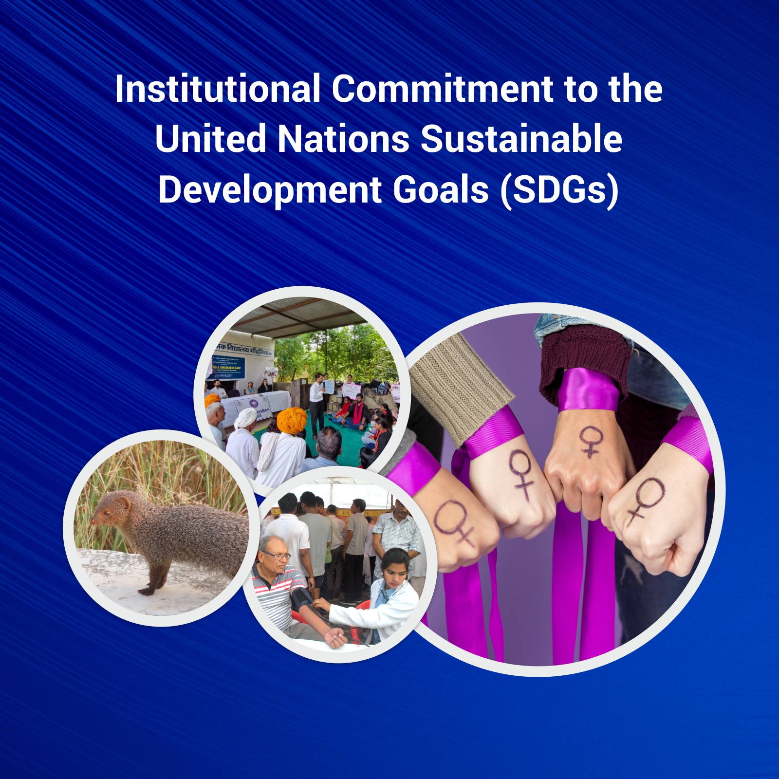 Sustainability Web Banner Mobile (1)