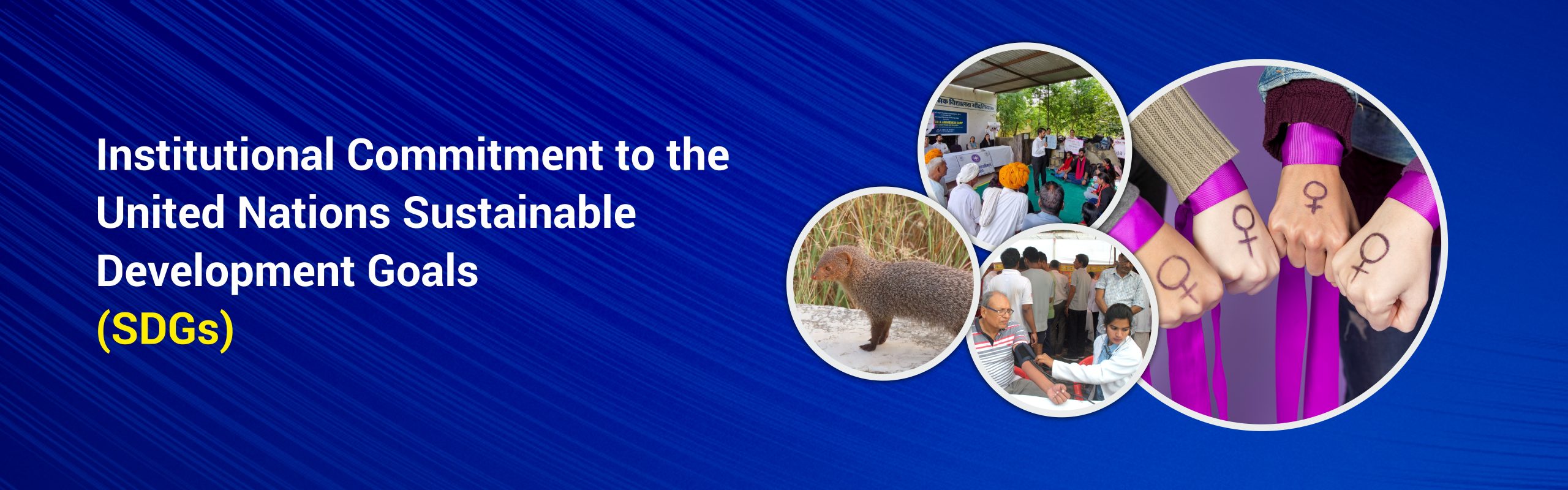 Sustainability Web Banner_01